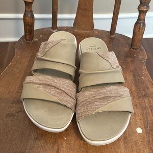 EARTH ORIGINS slides